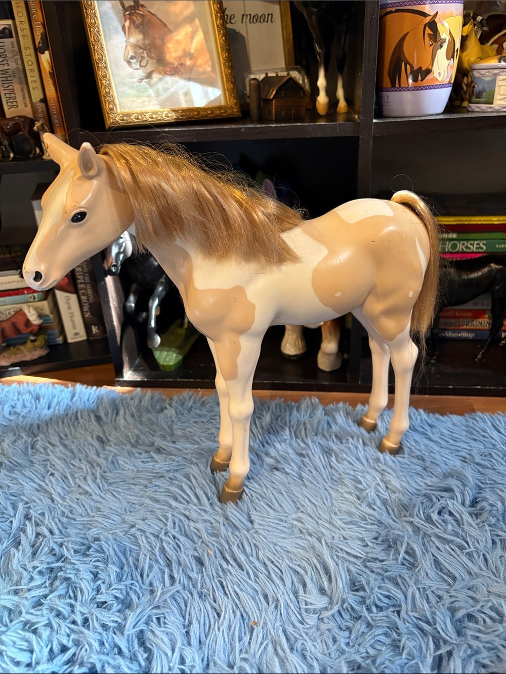 Our Generation Foal